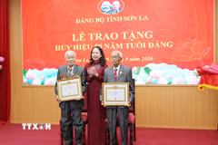 Phó Chủ tịch nước Võ Thị Ánh Xuân trao tặng Huy hiệu 80 năm tuổi Đảng cho các đảng viên Sa Đình Bình (bên phải) và Nguyễn Văn Tân (bên trái). (Ảnh: Nguyễn Cường/TTXVN)