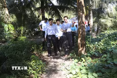 Tỉnh Cà Mau đặt mục tiêu phấn đấu đến năm 2030 sẽ có 100% khóm, ấp trên địa bàn tỉnh có đường bê tông giao thông nông thôn. (Ảnh: Tuấn Phi/TTXVN)