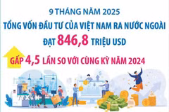 Đầu tư của Việt Nam ra nước ngoài đạt 846,8 triệu USD