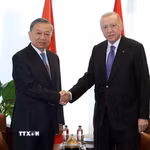 Tổng Bí thư, Chủ tịch nước Tô Lâm gặp Tổng thống Thổ Nhĩ Kỳ Recep Tayyip Erdogan. (Ảnh: Thống Nhất/TTXVN)