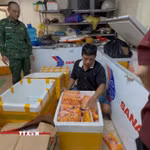 Lực lượng Bộ đội Biên phòng khám xét kho chứa hàng. (Ảnh: TTXVN phát)