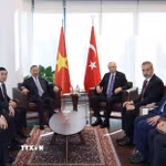 Tổng Bí thư, Chủ tịch nước Tô Lâm gặp Tổng thống Thổ Nhĩ Kỳ Recep Tayyip Erdogan. (Ảnh: Thống Nhất/TTXVN)