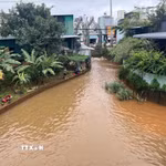 Nhiều nhà cửa của người dân trên địa bàn phường Pleiku, tỉnh Gia Lai ngập sâu trong nước. (Ảnh: Hoài Nam/TTXVN)