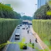 Quản trị môi trường theo hướng hiện đại. (Ảnh: Hoài Nam/Vietnam+)