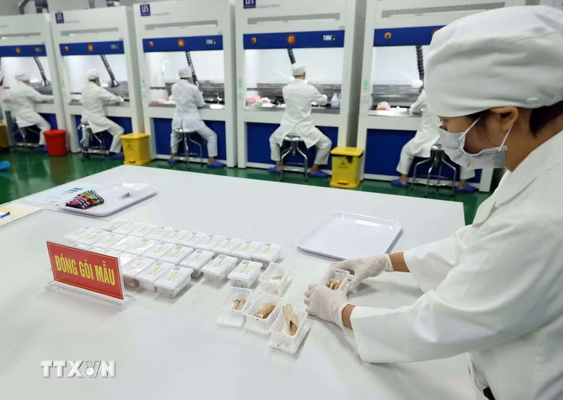 Mẫu sinh phẩm hài cốt liệt sỹ được đóng gói nghiêm ngặt, theo trình tự quy chuẩn quốc gia. (Ảnh: An Đăng/TTXVN)