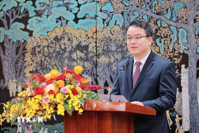 Thứ trưởng Bộ Tài chính Trần Quốc Phương. (Ảnh: Lê Đông/TTXVN)