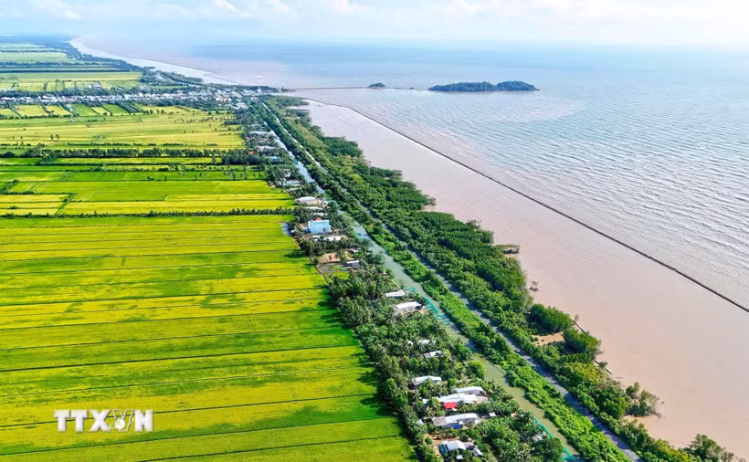 Cà Mau đã xác định các vùng trọng điểm cần tập trung ứng phó gồm vùng sản xuất nông nghiệp, nuôi trồng thủy sản, khu vực ngọt hóa, vùng ven biển và địa bàn khó khăn về nước sinh hoạt. (Ảnh: Huỳnh Anh/TTXVN)