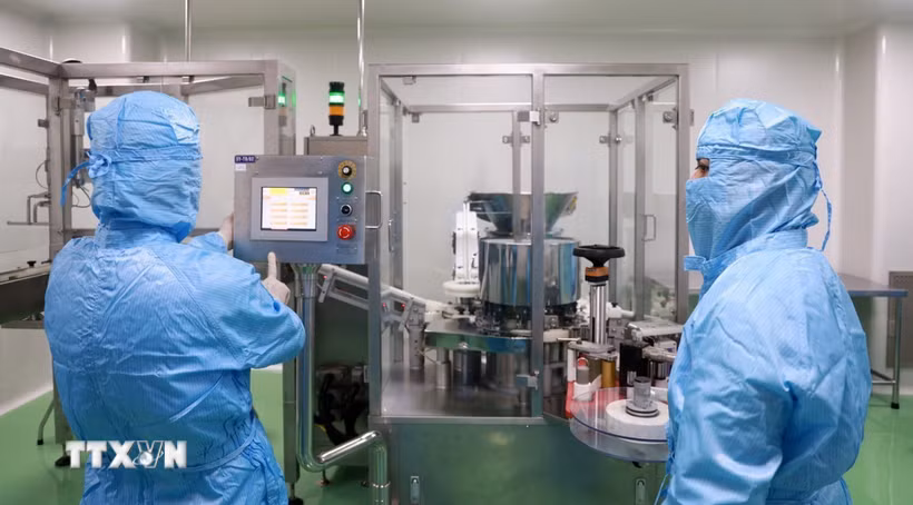 Nghiên cứu viên tại Viện Vắcxin và Sinh phẩm Y tế - Bộ Y tế (trụ sở tại tỉnh Khánh Hòa) nghiên cứu, sản xuất vaccine. (Ảnh: Xuân Triệu/TTXVN)