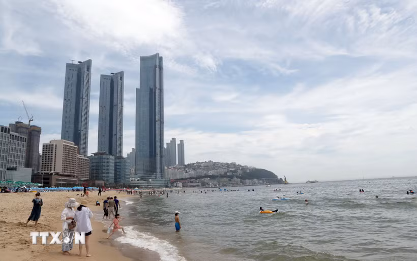 Thành phố Busan (Hàn Quốc). (Ảnh: TTXVN phát)
