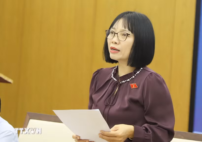 Đại biểu Quốc hội Nguyễn Thị Việt Nga phát biểu khai mạc tọa đàm lấy ý kiến xây dựng pháp luật liên quan đến hàng hải, môi trường biển. (Ảnh: Minh Thu/TTXVN)