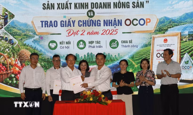 Đại diện các doanh nghiệp, hợp tác xã tham gia ký kết giao thương. (Ảnh: Nhật Bình/TTXVN)