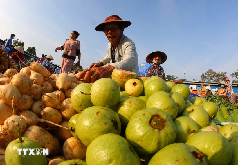 Các mặt hàng nông sản tươi xanh tại Cần Thơ. (Ảnh: Duy Khương/TTXVN)