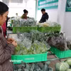 Chính sách giảm thuế 30% hỗ trợ hộ kinh doanh năm 2026–2027. (Ảnh: TTXVN)
