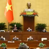  Phó Chủ tịch Quốc hội Nguyễn Thị Hồng phát biểu. (Ảnh: Doãn Tấn/TTXVN)