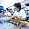 Bức tranh kinh tế trong quý 1 ghi nhận những tín hiệu rất khả quan với hơn 91 nghìn doanh nghiệp đăng ký thành lập mới và quay trở lại hoạt động. (Ảnh: Vietnam+)