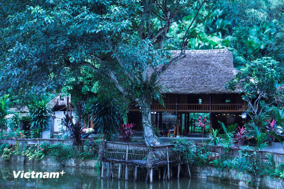 Trong làn sương bảng lảng, mái nhà sàn cổ soi mình bên dòng nước – bức tranh yên bình ấy là nét đặc trưng của vùng đất người Tày nơi thượng nguồn sông Hồng. (Ảnh: PV/Vietnam+)