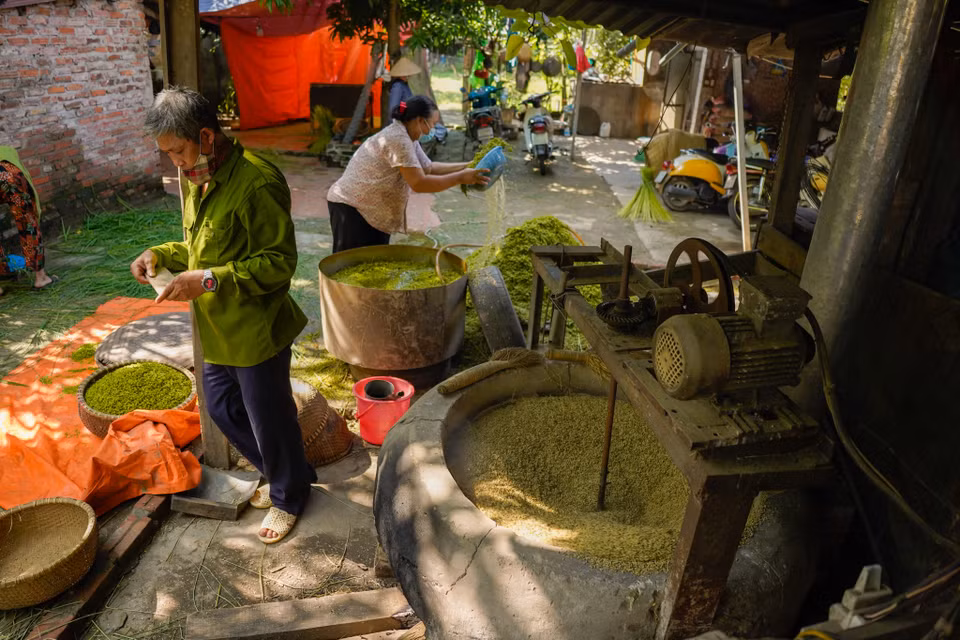 Vào những ngày này đến làng Mễ Trì (Nam Từ Liêm, Hà Nội), người ta sẽ bắt gặp hương cốm dịu thơm thoảng khắp đất trời. (Ảnh: PV/Vietnam+)