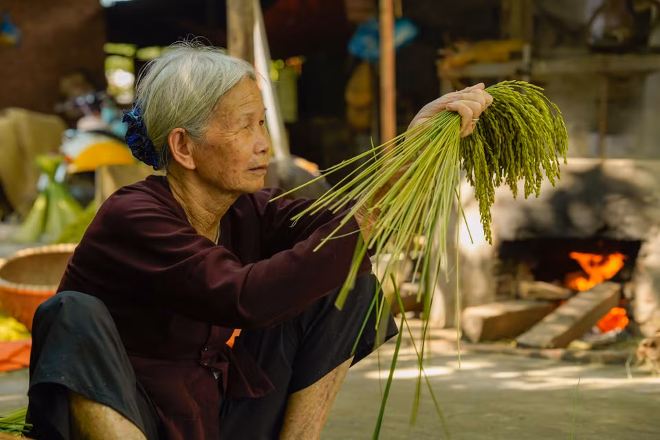 Sau này, người làm cốm mới đỡ vất vả hơn khi áp dụng máy móc, công nghệ vào một số công đoạn nhưng không vì thế mà cốm Mễ Trì mất đi hương vị truyền thống vốn có. (Ảnh: PV/Vietnam+)