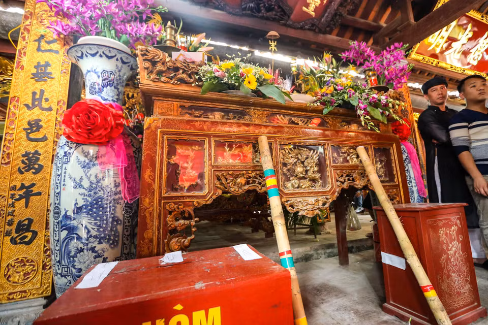 Theo quy định, sẽ có hai lượt tương ứng với hai cây bông được phát ra, mỗi cây cách nhau một tiếng. Sau khi giằng co, người giành chiến thắng phải giơ thẳng cây bông lên và mang vào đình làng trình Thánh. (Ảnh: Minh Sơn/Vietnam+)