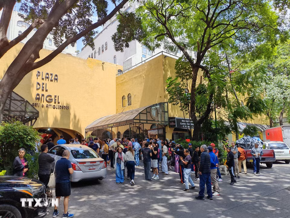 Chợ Plaza del Ángel nằm giữa khu Zona Rosa sôi động của thủ đô Mexico City. (Ảnh: Phương Lan/TTXVN)