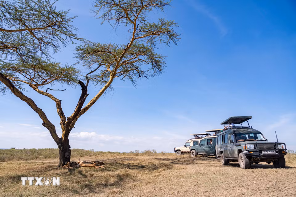 Khách du lịch tại Vườn quốc gia Hồ Nakuru, hạt Nakuru, Kenya, ngày 26/8/2026. (Ảnh: THX/TTXVN phát)