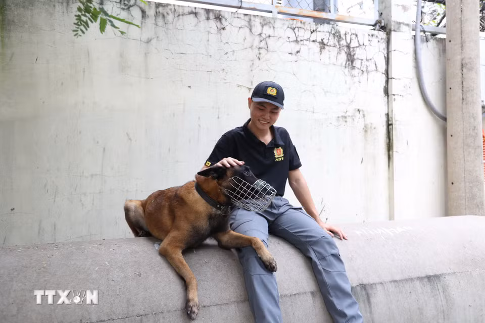 Phút nghỉ ngơi, “trò chuyện” của chó nghiệp vụ Rich với cán bộ huấn luyện Thiếu úy Lê Tấn Thông. (Ảnh: Hồng Đạt/TTXVN)