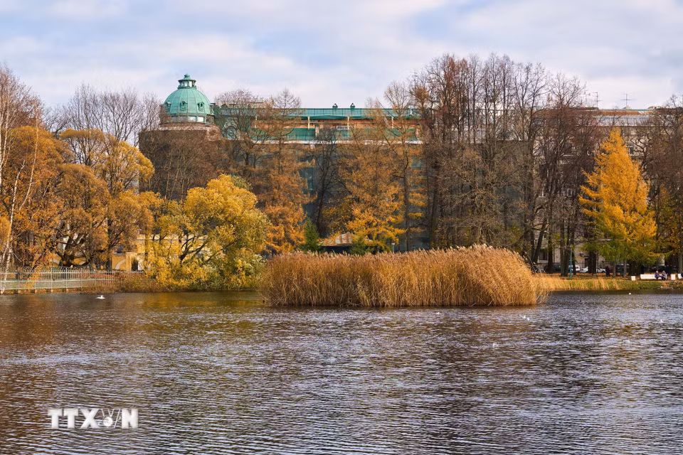 Bức tranh mùa Thu vàng tại vườn Tauride ở St. Petersburg, Nga ngày 27/10/2026. (Ảnh: THX/TTXVN phát)