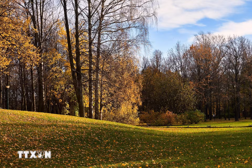 Bức tranh mùa Thu vàng tại vườn Tauride ở St. Petersburg, Nga ngày 27/10/2026. (Ảnh: THX/TTXVN phát)