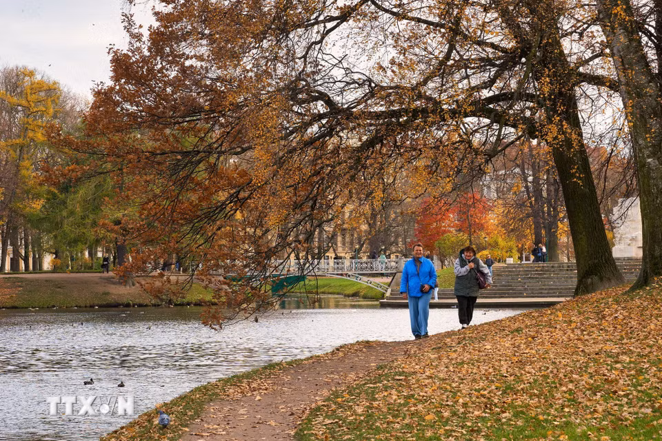 Bức tranh mùa Thu vàng tại vườn Tauride ở St. Petersburg, Nga ngày 27/10/2026. (Ảnh: THX/TTXVN phát)