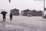 Lũ lên trên báo động 2 gây ngập ven bờ Nam sông Hương, thành phố Huế. (Ảnh: Nguyên Lý/TTXVN)