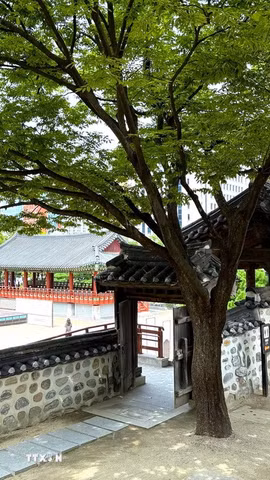 Một góc Làng Hanok Namsangol với những mái ngói, tường đá và cổng gỗ mang đậm nét kiến trúc truyền thống Hàn Quốc, giữa không gian xanh của thủ đô Seoul. (Ảnh: Nhật Hưng/TTXVN)