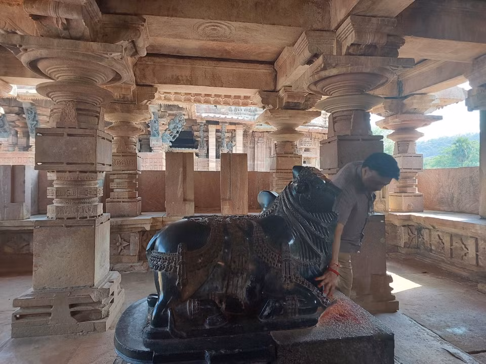 Theo truyền thuyết, bò thần Nandi là vật cưỡi của Thần Shiva. Do đó, người Ấn Độ không ăn thịt bò. Tất cả các bộ phận của bò đều mang một ý nghĩa tôn giáo nhất định. (Ảnh: Minh Thu/Vietnam+)