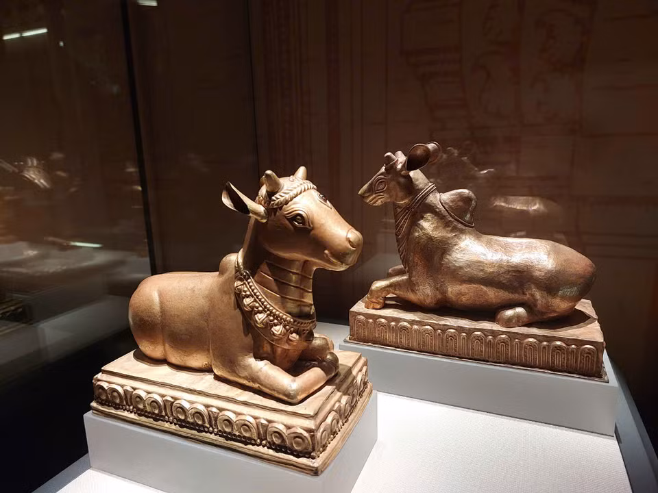 Trong truyền thuyết, tượng bò thần Nandin, linh vật thần Shiva thường cưỡi, là “Mẹ của quá khứ và tương lai” cung cấp sữa nuôi sống con người và giúp trị bách bệnh. (Ảnh: Minh Thu/Vietnam+)
