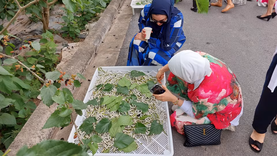 Nhiều phu nhân không ngần ngại chạm vào con tằm và chụp ảnh. (Ảnh: Minh Thu/Vietnam+)