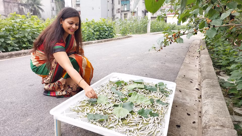 Bà Ruchi Gupta thích thú khi được tìm hiểu quá trình trồng dâu, nuôi tằm, ươm tơ, dệt lụa của người Việt: "Tôi rất vui khi được nghe về cách người Việt Nam phát triển, khám phá và sáng tạo nhiều loại lụa khác nhau. Rất nhiều công sức được bỏ ra để tạo nên sản phẩm. Nhiều thế kỷ trước, lụa chỉ dành cho hoàng gia, là biểu tượng cho sự sang trọng. Bây giờ, lụa đã được sản xuất nhiều hơn trên toàn thế giới." (Ảnh: Minh Thu/Vietnam+)