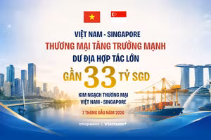 Kim ngạch thương mại 7 tháng đạt gần 33 tỷ SGD khẳng định đà phát triển quan hệ Việt Nam-Singapore 