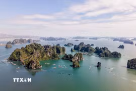 Vịnh Hạ Long nhìn từ trên cao. (Ảnh: Hoàng Hiếu/TTXVN)