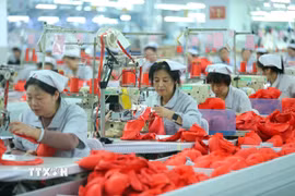 Công nhân làm việc tại một nhà máy dệt may ở tỉnh Sơn Đông, Trung Quốc. (Ảnh: THX/TTXVN)
