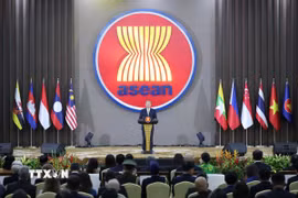 Tổng Bí thư Tô Lâm phát biểu tại lễ kỷ niệm 30 năm Việt Nam gia nhập ASEAN. (Ảnh: Thống Nhất/TTXVN)