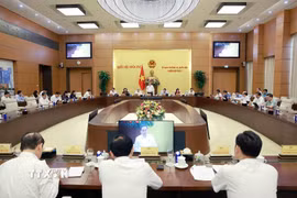 Phiên họp thứ 2 của Ủy ban Thường vụ Quốc hội sáng 11/5/2026. (Ảnh: Doãn Tấn/TTXVN)