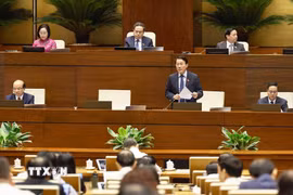 Bộ trưởng Bộ Công an Lương Tam Quang phát biểu giải trình, làm rõ một số vấn đề đại biểu Quốc hội nêu. (Ảnh: Doãn Tấn/TTXVN)