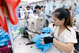 Ngành may xuất khẩu. (Ảnh minh họa: Trần Việt/TTXVN)