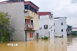 Nước sông Cầu dâng cao gây ngập nhà dân tại phường Kinh Bắc, tỉnh Bắc Ninh. (Ảnh: Thanh Thương/TTXVN)