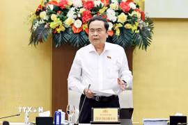 Chủ tịch Quốc hội Trần Thanh Mẫn phát biểu chỉ đạo. (Ảnh: Doãn Tấn/TTXVN)