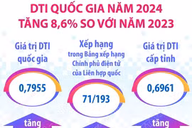 DTI quốc gia năm 2024 tăng 8,6% so với năm 2023