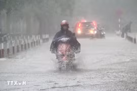 Ngày 8/9, cao nguyên Trung Bộ có mưa rào, dông, cục bộ mưa to trên 70mm. (Ảnh: TTXVN)