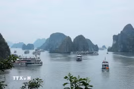 Phong cảnh tuyệt đẹp của Vịnh Hạ Long thu hút nhiều du khách đến tham quan, khám phá. (Ảnh: Hoàng Hiếu/TTXVN)