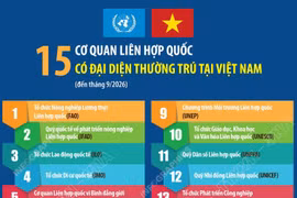 15 cơ quan Liên hợp quốc có đại diện thường trú tại Việt Nam