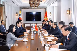 Chủ tịch Quốc hội Trần Thanh Mẫn tiếp Chủ tịch Nhóm Nghị sỹ Hữu nghị Hàn Quốc-Việt Nam Moon Jin-seok. (Ảnh: Doãn Tấn/TTXVN)
