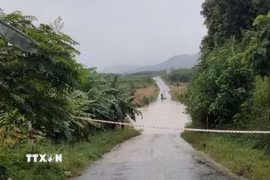 Ảnh minh họa. (Ảnh: TTXVN phát)
